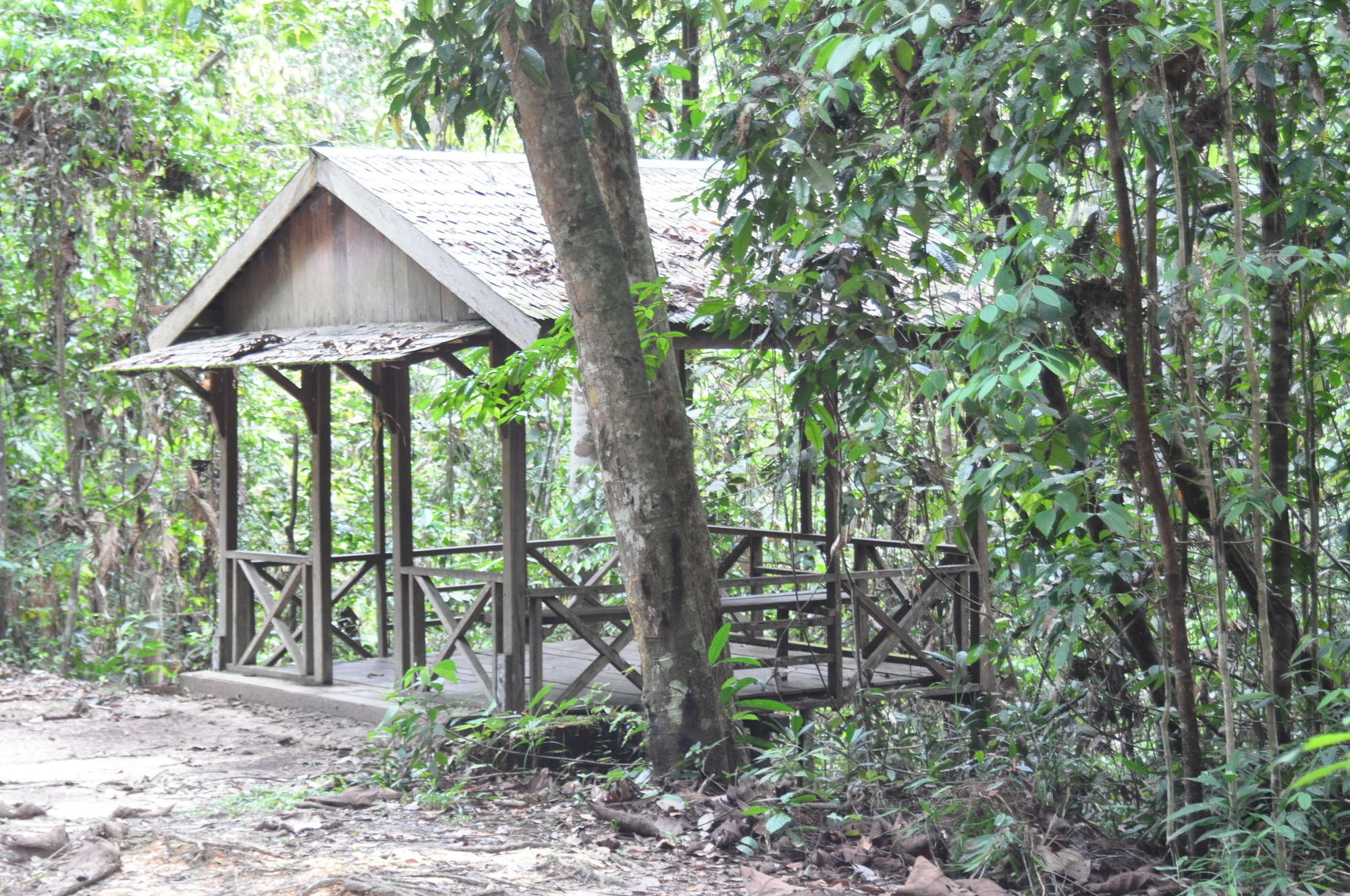 Samboja Lodge Balikpapan  Exterior photo