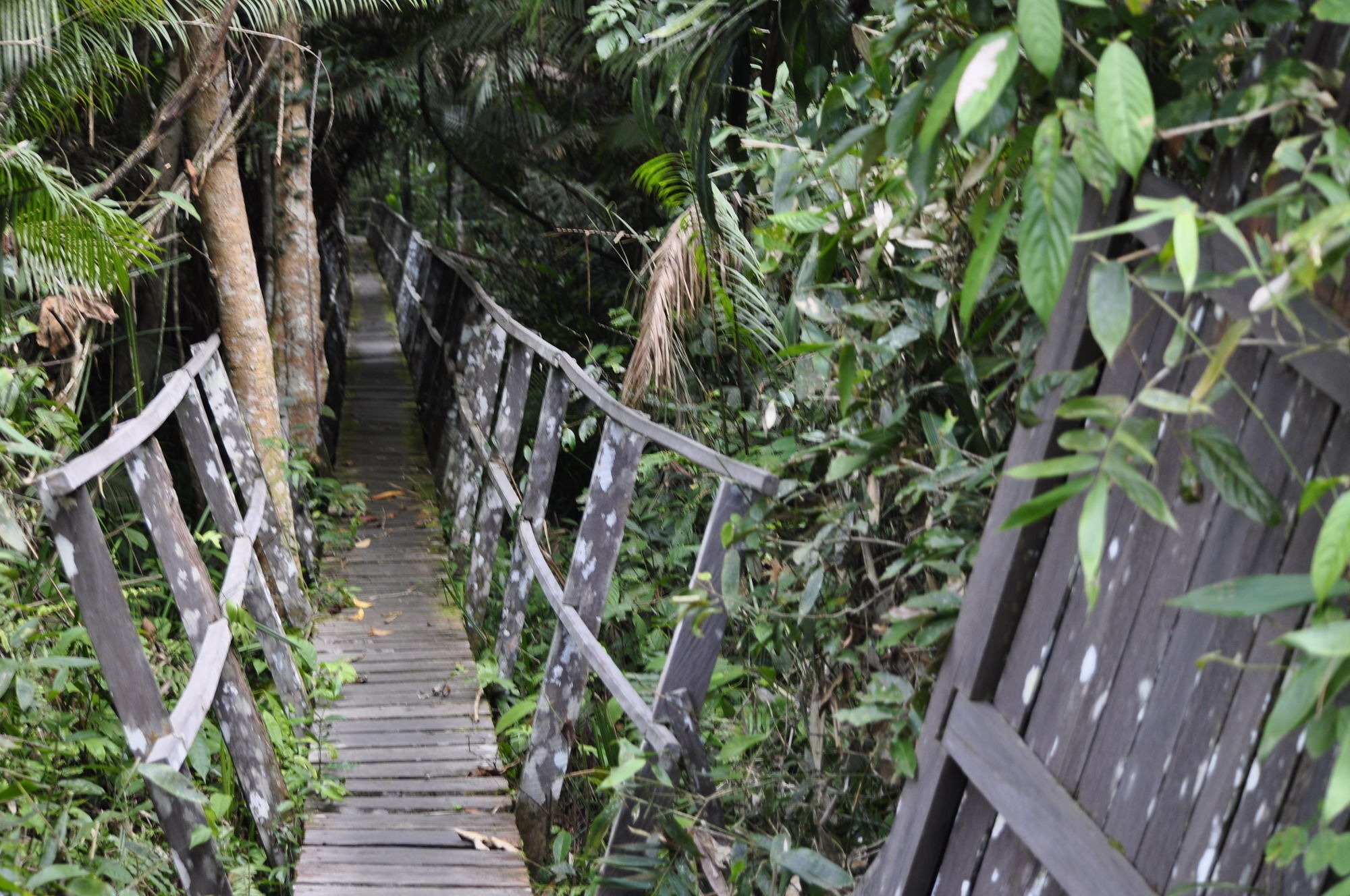 Samboja Lodge Balikpapan  Exterior photo